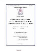 Đặc Điểm hình Ảnh và giá trị của cắt lớp vi tính Đa dãy trong chẩn Đoán thủng dạ dày tá tràng