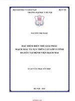 Đặc Điểm biến thể giải phẫu mạch máu tá tụy trên cắt lớp vi tính Đa dãy tại bệnh viện bạch mai