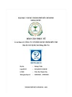 Báo cáo thực tế cơ sở thực tế công ty cổ phần dược phẩm bến tre Địa chỉ 6a3 ql60, sơn Đông, bến tre