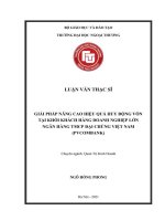 Giải pháp nâng cao hiệu quả huy động vốn tại Khối Khách hàng Doanh nghiệp Lớn - Ngân hàng TMCP Đại Chúng Việt Nam (Vietcombank)