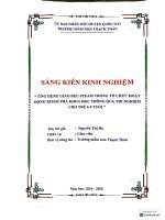 Skkn cấp tỉnh Ứng dụng giáo dục steam trong tổ chức hoạt Động khám phá khoa học thông qua thí nghiệm cho trẻ 4  5 tuổi