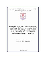 Luận văn mô bệnh học hoá mô miễn dịch Đột biến gen braf v600e trong ung thư biểu mô tuyến giáp biệt hoá tái phát di căn