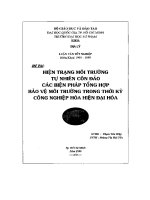 Luận văn tốt nghiệp hiện trạng môi trường tự nhiên côn Đảo các biện pháp tổng hợp bảo vệ môi trường trong thời kỳ công nghiệp hóa hiện Đại hóa