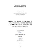 Luận văn nghiên cứu biến dị tế bào soma và xử lý tia gamma trong chọn tạo các dòng Đậu nành glycine max l merrill chống chịu mặn