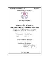 Luận văn nghiên cứu giải phẫu các Động mạch não trên hình Ảnh chụp cắt lớp vi tính 256 dãy