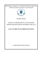 Luận văn năng lực cạnh tranh của các ngân hàng thương mại việt nam sau sáp nhập và mua lại ma