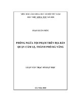 Luận văn thạc sĩ luật học phòng ngừa tội phạm trên Địa bàn quận cẩm lệ thành phố Đà nẵng