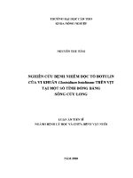 Luận văn nghiên cứu bệnh nhiễm Độc tố botulin của vi khuẩn clostridium botulinum trên vịt tại một số tỉnh Đồng bằng sông cửu long