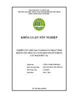 Khóa luận tốt nghiệp Công nghệ sinh học: Nghiên cứu chế tạo và khảo sát hoạt tính kháng oxy hóa của nano keo ong