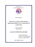 Luận văn pháp luật về bảo vệ môi trường trong hoạt Động của các khu kinh tế Ở việt nam