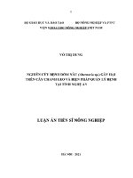 Luận văn nghiên cứu bệnh Đốm nâu alternaria sp gây hại trên cây chanh leo và biện pháp quản lý bệnh tại tỉnh nghệ an