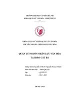 Tóm tắt khóa luận tốt nghiệp quản lý nguồn nhân lực văn hóa tại Đảo cát bà