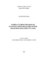 Luận văn nghiên cứu bệnh viêm ruột do parvovirus trên chó tại một số tỉnh thành Đồng bằng sông cửu long