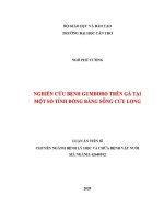Luận văn nghiên cứu bệnh gumboro trên gà tại một số tỉnh Đồng bằng sông cửu long