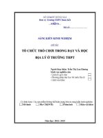 Sáng kiến kinh nghiệm tổ chức trò chơi trong dạy và học Địa lý Ở trường thpt