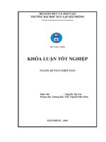 Hoàn thiện tổ chức kế toán doanh thu chi phí và xác Định kết quả kinh doanh tại công ty tnhh gas petrolimex hải phòng