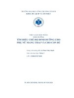 Tiểu Luận Học Phần Dinh Dưỡng Tìm Hiểu Chế Độ Dinh Dưỡng Cho Phụ Nữ Mang Thai Và Cho Con Bú.pdf