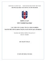 Các tiền tố và hậu tố của trải nghiệm người tiêu dùng khi sử dụng ngân hàng qua di Động (khoá luận tốt nghiệp Đại học)
