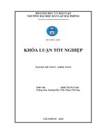 Hoàn thiện công tác kế toán doanh thu chi phí và xác Định kết quả kinh doanh tại công ty tnhh thương mại ngọc hùng