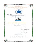 Báo Cáo Thực Tập Tốt Nghiệp Nơi Thực Tập Công Ty Cổ Phần Sài Gòn Furniture.pdf