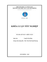 Hoàn thiện tổ chức kế toán vốn bằng tiền tại công ty tnhh một thành viên nam triệu