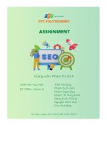 Assignment Phân tích chiến lược