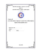 Chuyên Đề cơ chế sinh lý bệnh và Đáp Ứng viêm trong bệnh viêm khớp gout