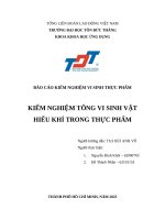 Báo cáo kiểm nghiệm vi sinh thực phẩm kiểm nghiệm tổng vi sinh vật hiếu khí trong thực phẩm
