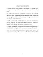 Luận văn a study on the sounds of vowels and consonants in english