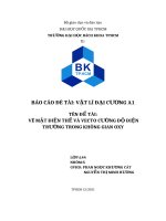 Đề tài vẽ mặt Điện thế và vecto cường Độ Điện trường trong không gian oxy