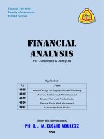 Financial analysis