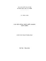 Luận văn các bất Đẳng thức kiểu hardy một chiều