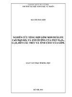 Luận văn nghiên cứu tổng hợp gốm monticelite cao mgo sio2 và Ảnh hưởng của oxit fe2o3 cr2o3 Đến cấu trúc và tính chất của gốm