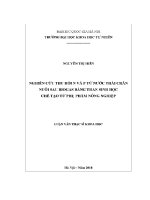 Luận văn nghiên cứu thu hồi n và p từ nước thải chăn nuôi sau biogas bằng than sinh học chế tạo từ phụ phẩm nông nghiệp