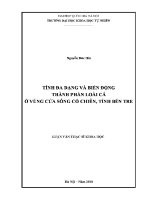 Luận văn tính Đa dạng và biến Động thành phần loài cá Ở vùng cửa sông cổ chiên tỉnh bến tre