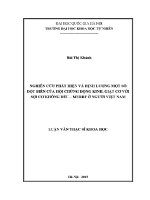Luận văn nghiên cứu phát hiện và Định lượng một số Đột biến của hội chứng Động kinh giật cơ với sợi cơ không Đều merrf Ở người việt nam
