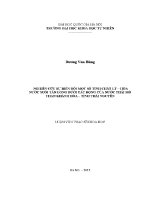 Luận văn nghiên cứu sự biến Đổi một số tính chất lý hóa nước suối tân long dưới tác Động của nước thải mỏ than khánh hòa tỉnh thái nguyên