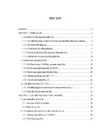 Luận văn nghiên cứu tổng hợp xúc tác lai cho phản Ứng Đồng phân hóa n c6
