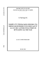 Luận văn nghiên cứu tính Đa dạng sinh học của nhóm nấm hyphomycetes phân lập từ lá cây mục litter fungi Ở một số rừng quốc gia việt nam luận văn ts vi sinh vật học 60 42 40 01