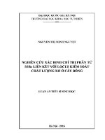 Luận văn nghiên cứu xác Định chỉ thị phân tử ssrs liên kết với locus kiểm soát chất lượng xơ Ở cây bông