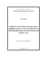 Luận văn nghiên cứu thành phần loài mò acaria trombiculidae vật chủ tại một số xã và tình hình bệnh nhân sốt mò Ở tỉnh yên bái năm 2016 2017