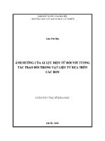 Luận văn Ảnh hưởng của Ái lực Điện tử Đối với tương tác trao Đổi trong vật liệu từ dựa trên các bon