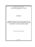 Luận văn nghiên cứu phân vùng nguy cơ sụt Đất khu vực ven biển thành phố cẩm phả theo mô hình chỉ tiêu tích hợp các yếu tố phát triển tai biến