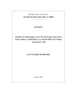 Luận văn nghiên cứu nhận dạng các trận lũ lụt lưu vực sông pôkô và Đăkbla trong hologen