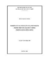 Luận văn nghiên cứu sự tích lũy của phytolith trong một số loại Đất chính Ở Đồng bằng sông hồng