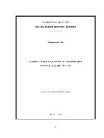 Luận văn nghiên cứu tương quan bồi tụ xói lở bờ biển từ cửa ba lạt Đến cửa Đáy