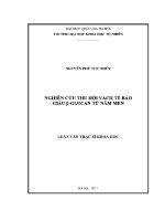 Luận văn nghiên cứu thu hồi vách tế bào giàu beta glucan từ nấm men