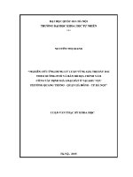Luận văn nghiên cứu Ứng dụng lý luận vùng giá trị Đất Đai theo Đường phố và bản Đồ Địa chính vào công tác Định giá loại Đất Ở tại khu vực phường quang trung quận hà Đông tp hà nội