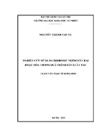 Luận văn nghiên cứu sử dụng hidroxit nhôm tân rai hoạt hóa trong quá trình sản xuất pac