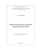 Luận văn nghiên cứu sự phân bố của as trong tầng holocene nam dư hà nội
